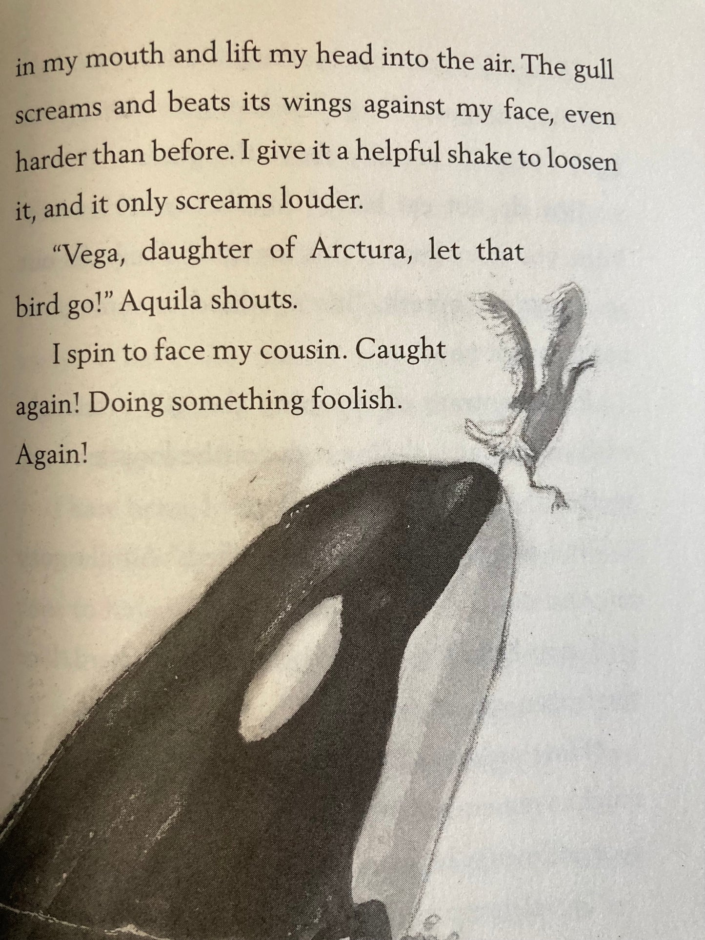 Livre de chapitre pour jeunes lecteurs - A WHALE OF THE WILD