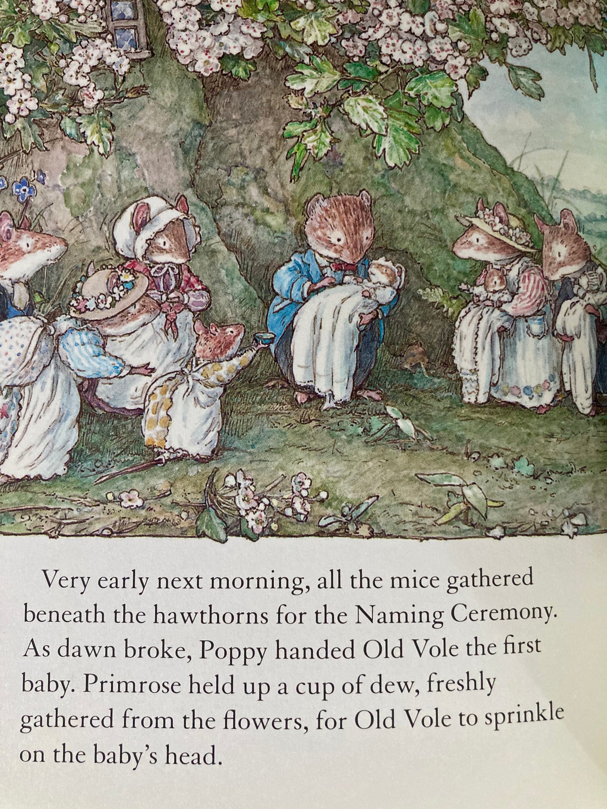 Brambly Hedge - Poppy Dusty and babies Art Board Print for Sale