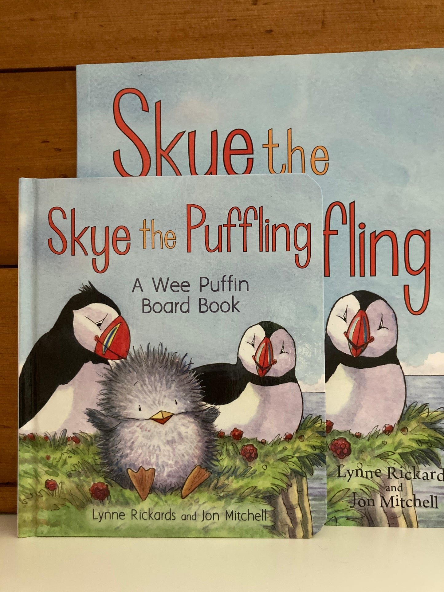 Livre d'images pour enfants - SKYE THE PUFFLING