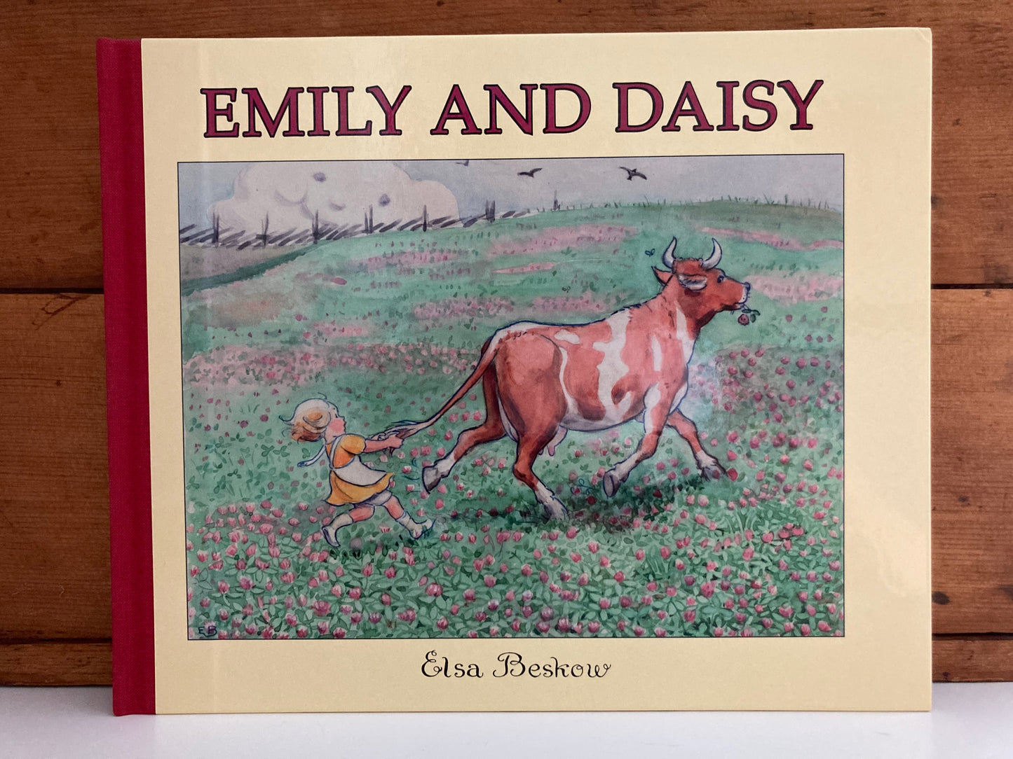 Children's Picture Book - EMILY AND DAISY