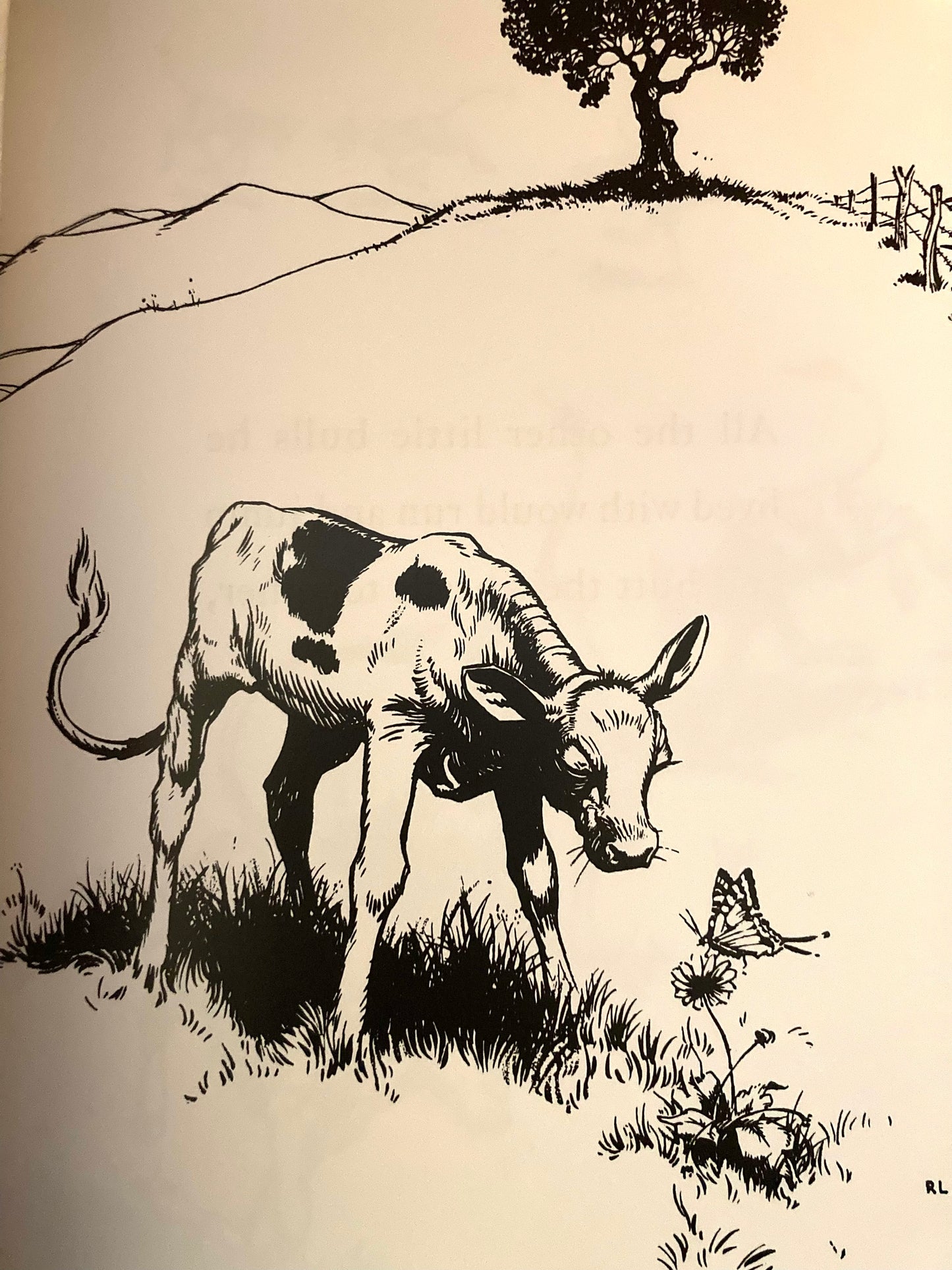 Livre d'images pour enfants - FERDINAND, L'histoire du petit taureau