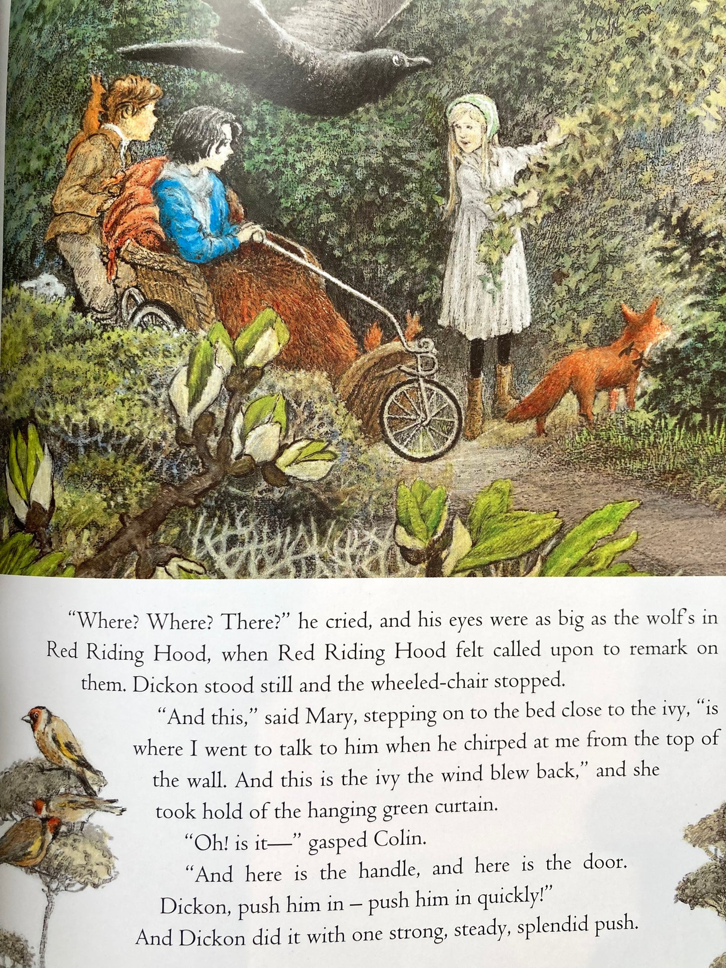 Children’s Chapter Picture Book - THE SECRET GARDEN