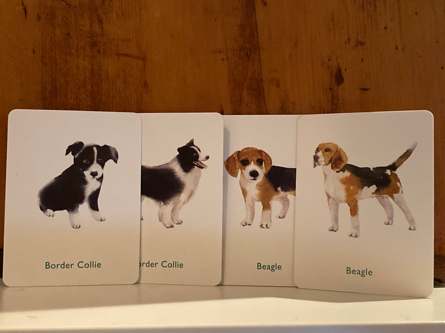 Memory Game Set - DOGS & PUPPIES