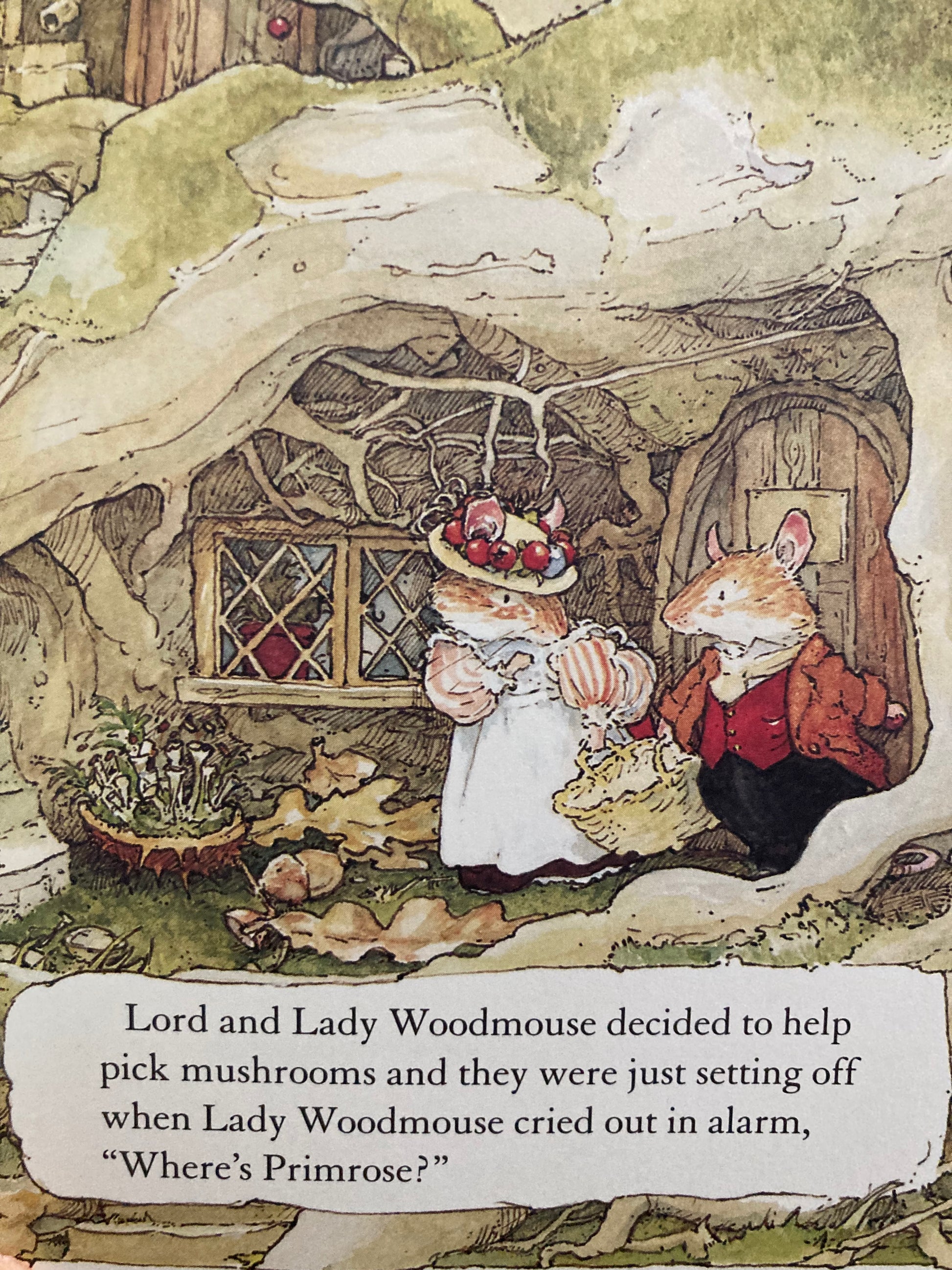 Brambly Hedge on X: Time to gather round the fire. Illustration